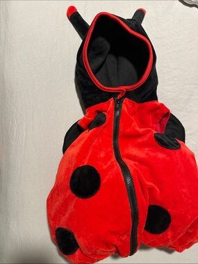 Kids Red and Black Ladybug Costume Hoodie